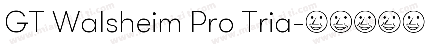 GT Walsheim Pro Tria字体转换